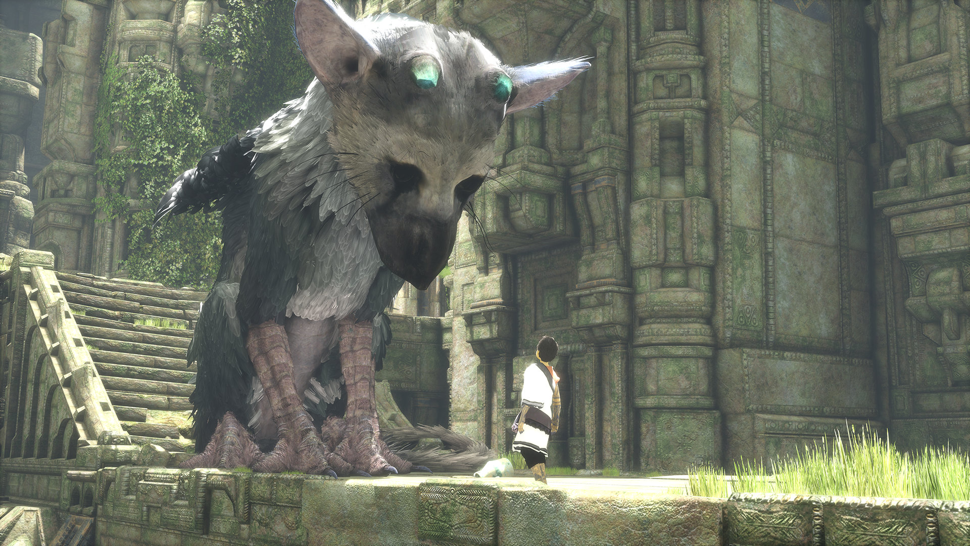 Shadow Of The Colossus Ps4 How To Find The Secret Last Guardian