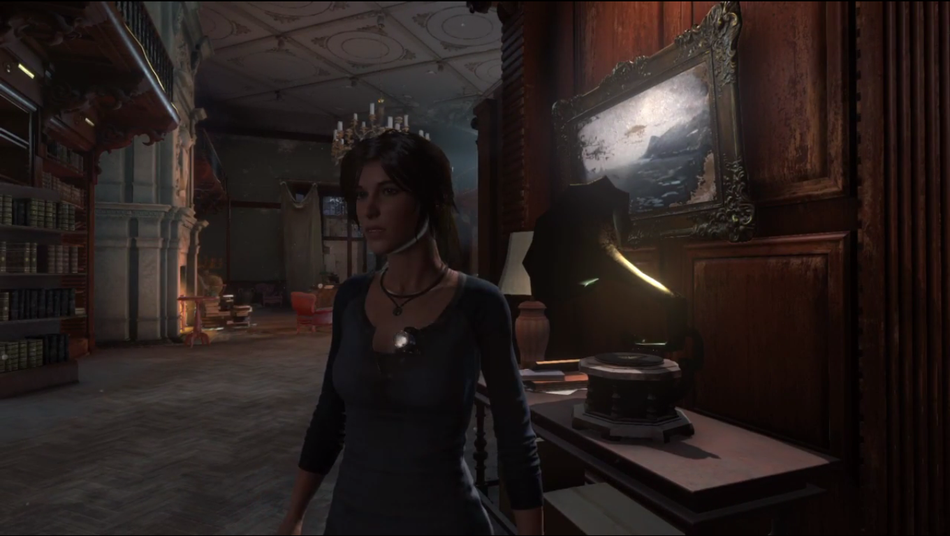  Rise of The Tomb Raider: 20 Year Celebration (PS4) : Home &  Kitchen