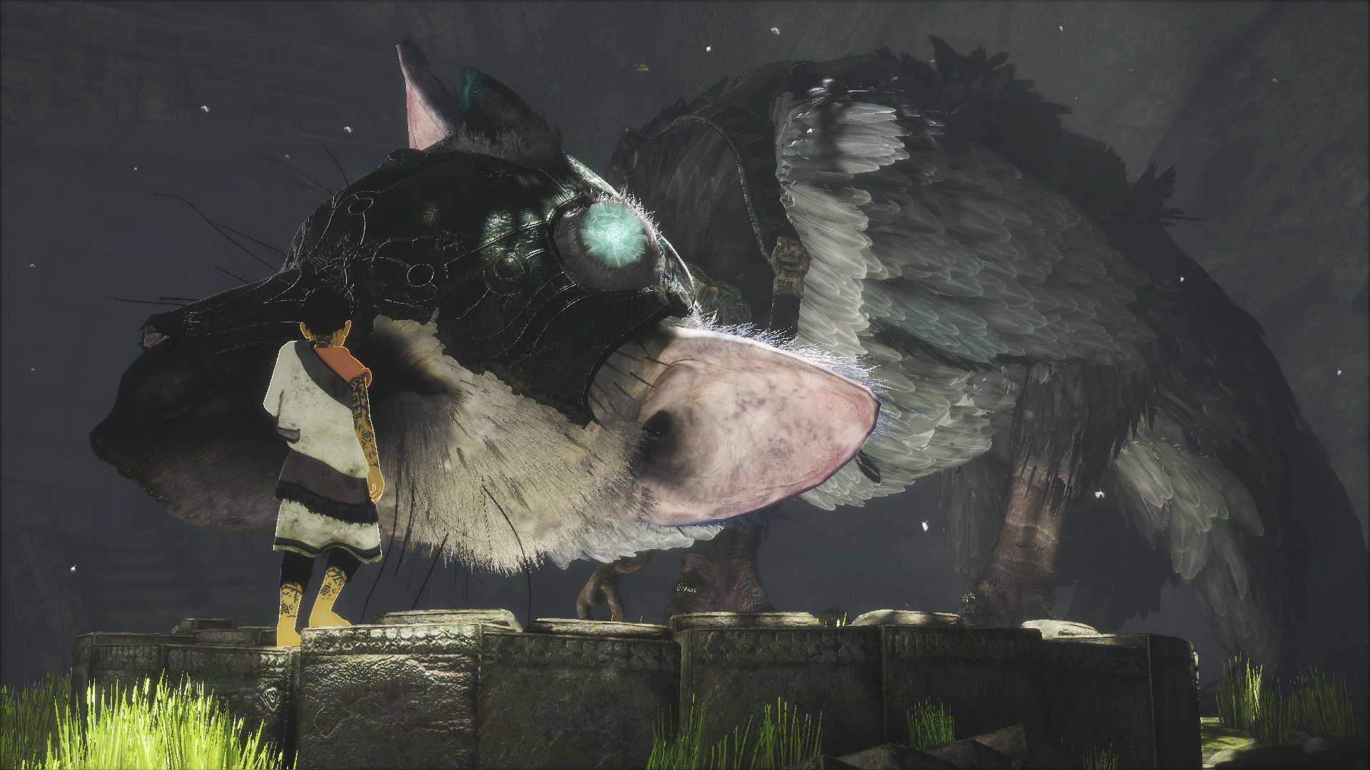 The Last Guardian, Shadow of the Colossus Legend Aiming for 2023  Announcement