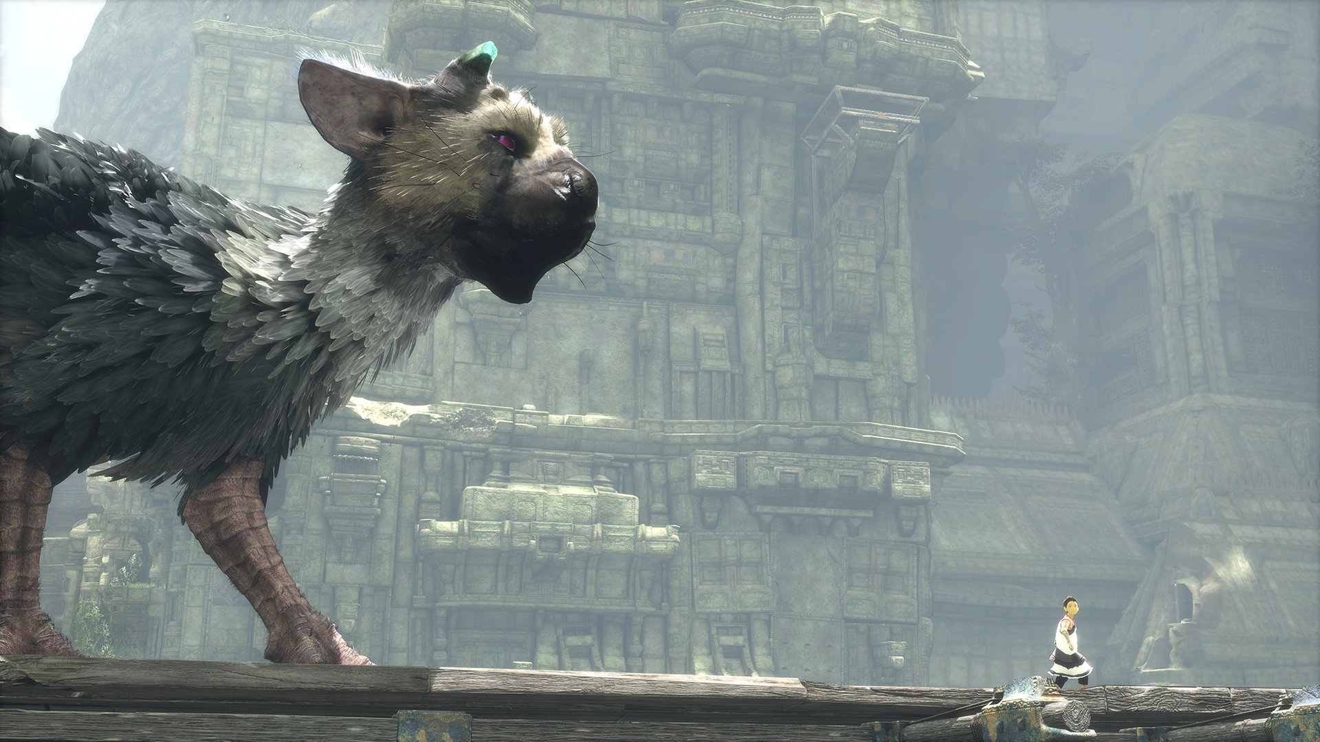 Shadow of the Colossus: how to find The Last Guardian Easter egg