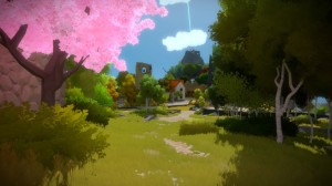 the witness puzzles