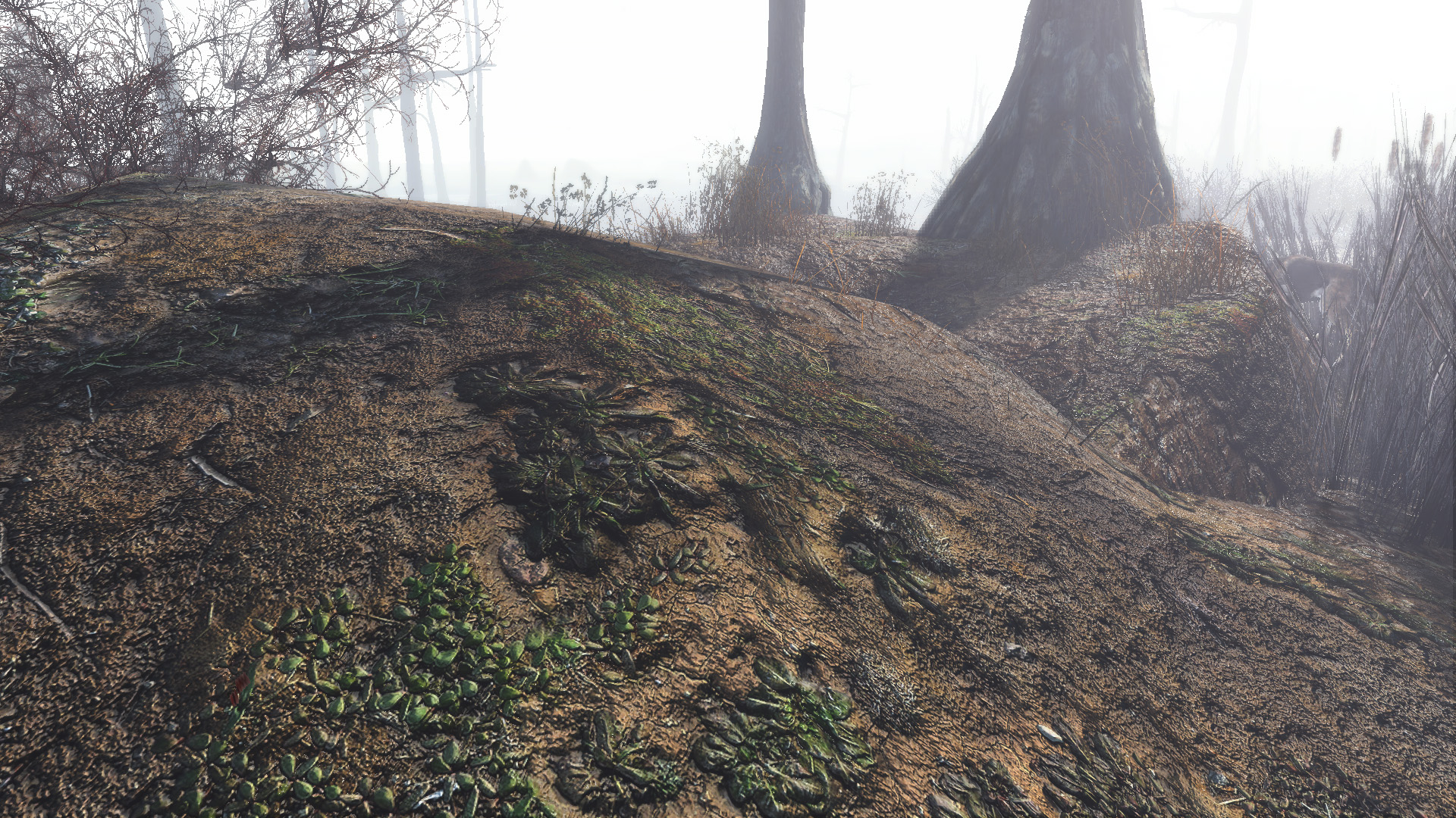 fallout 4 more trees
