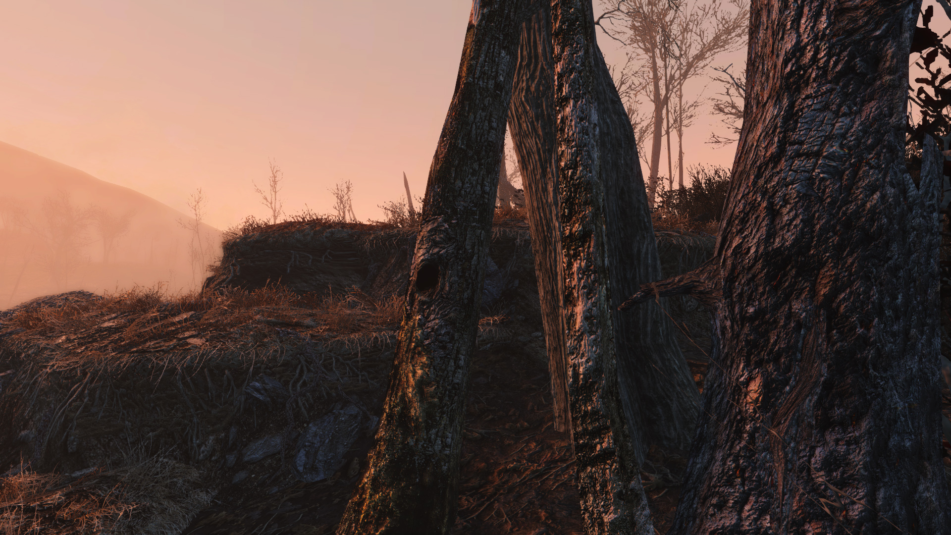 Vivid Fallout 4 Trees 1