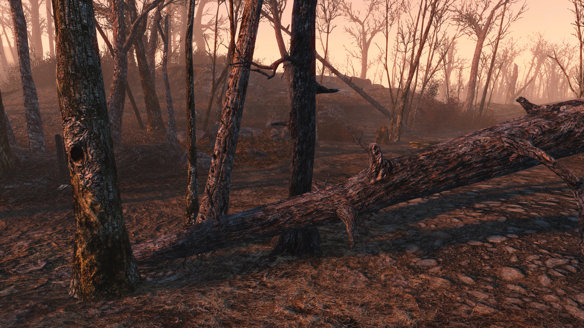 Vivid Fallout 4 Trees 3