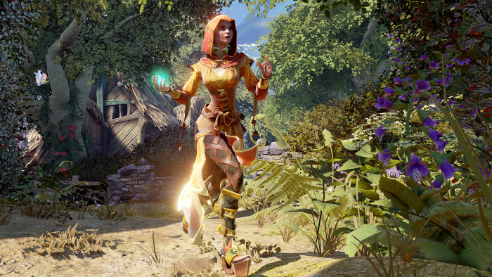 fable 4 mmo