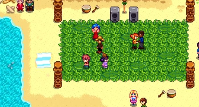 Stardew Valley All Festivals Guide  Gameranx