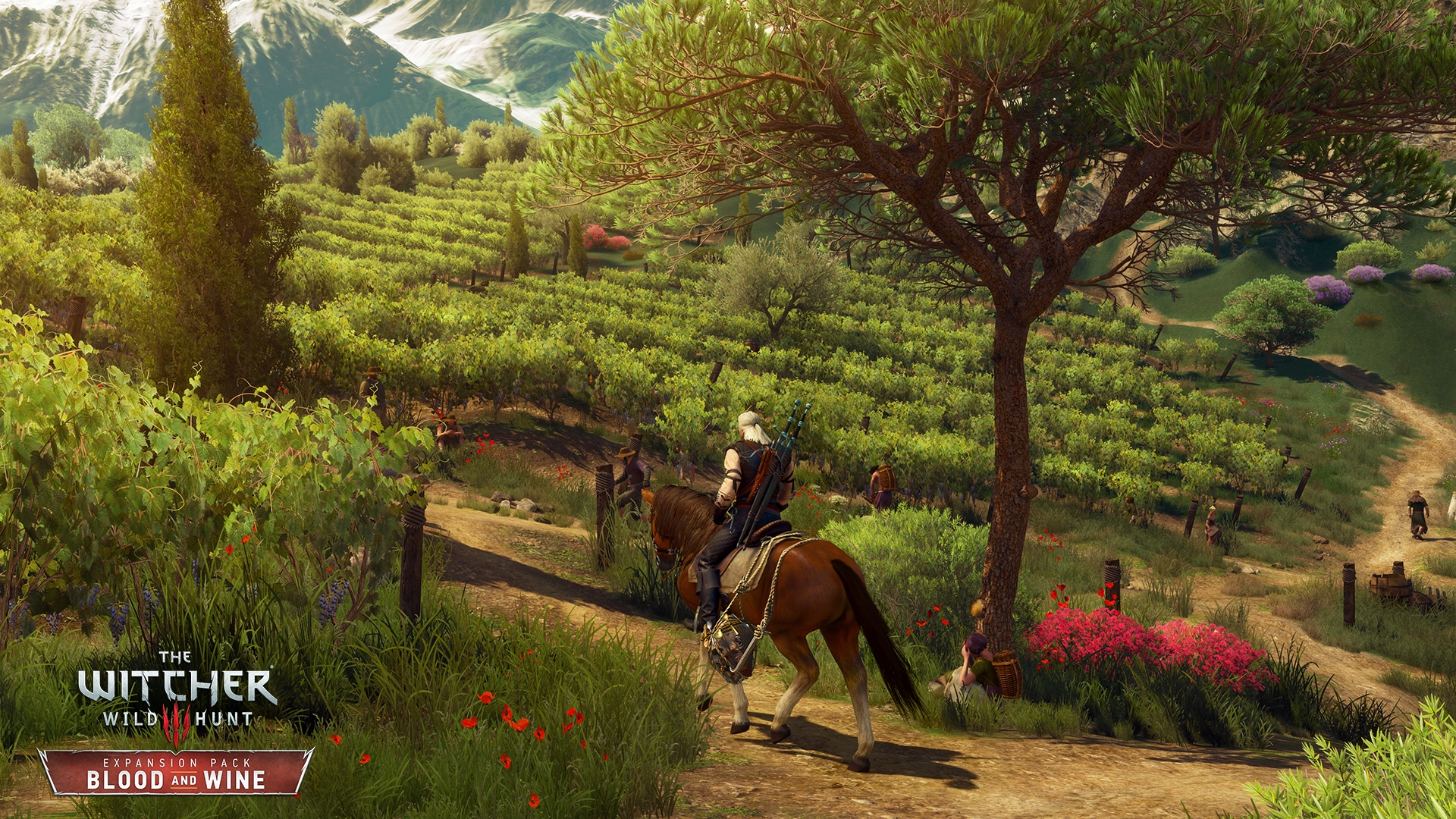 Witcher 3: & - Corvo Bianco Vineyard Upgrades Gameranx