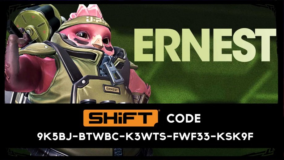 borderlands 2 skins and heads codes