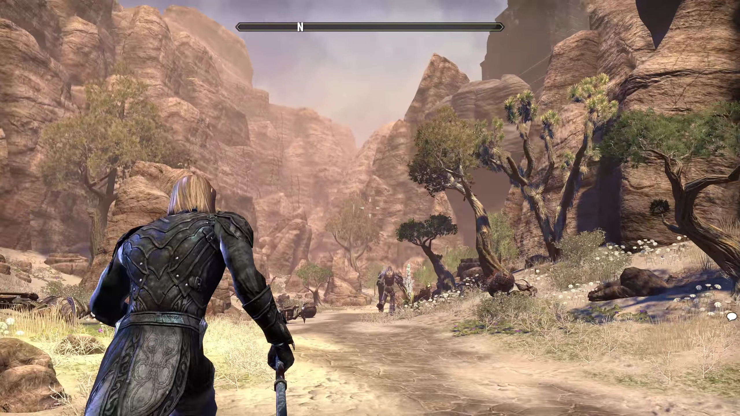 The Elder Scrolls Online download the new for apple