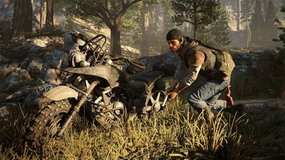 days gone collectibles