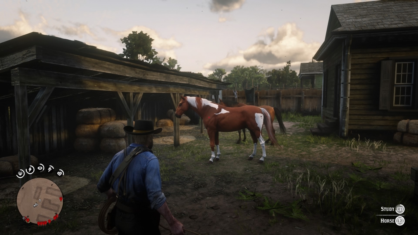 Red Dead Redemption 2 How To Find Every Horse In One Spot Stable