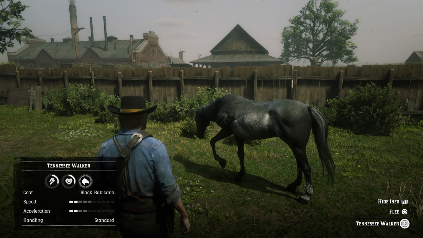 Red Dead Redemption 2 How To Find Every Horse In One Spot Stable
