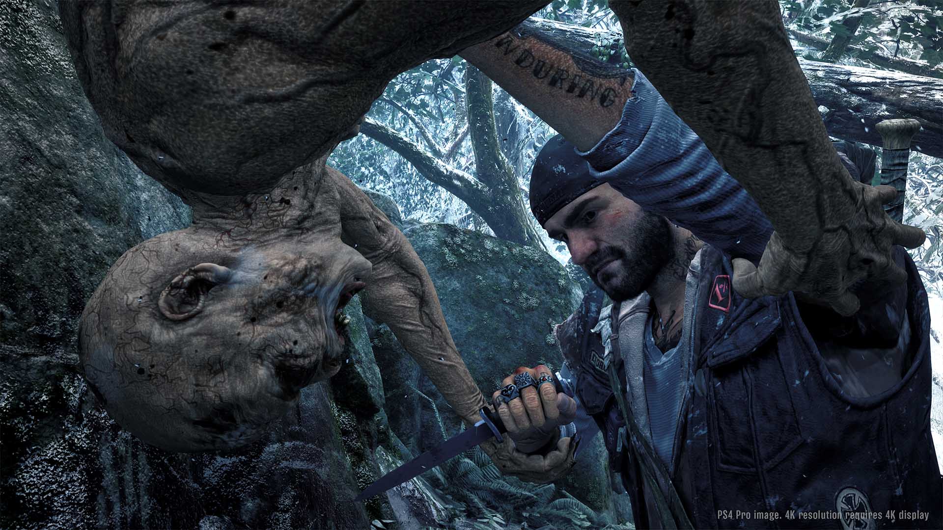 days gone for pc