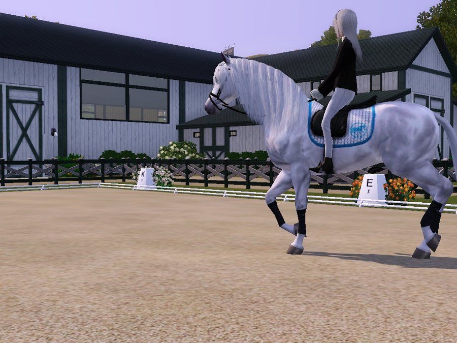 horse online sim games