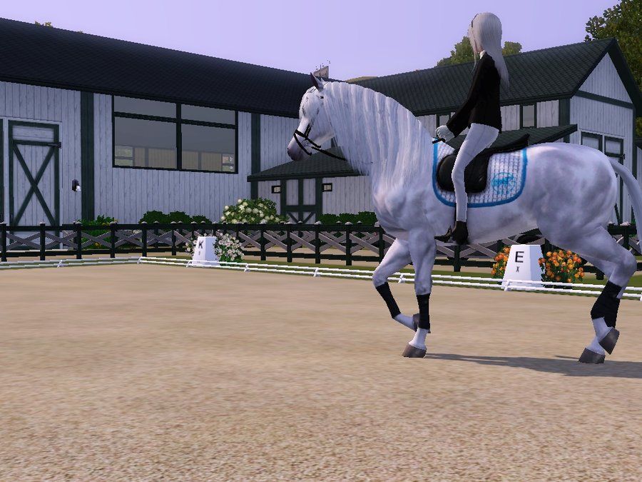 horse sim game online free