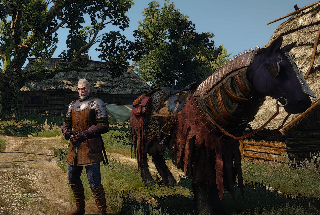 The witcher 3 увеличить переносимый вес фото 23