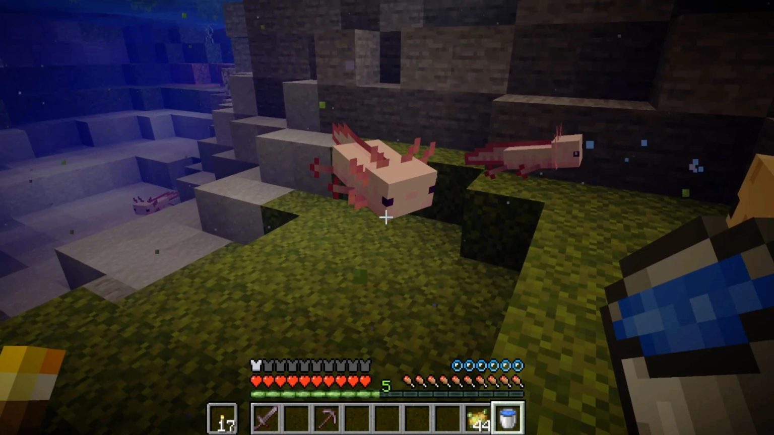 What is the title of this picture ? Minecraft: Caves & Cliffs - How To Spawn Axolotl In Your Seed - Gameranx