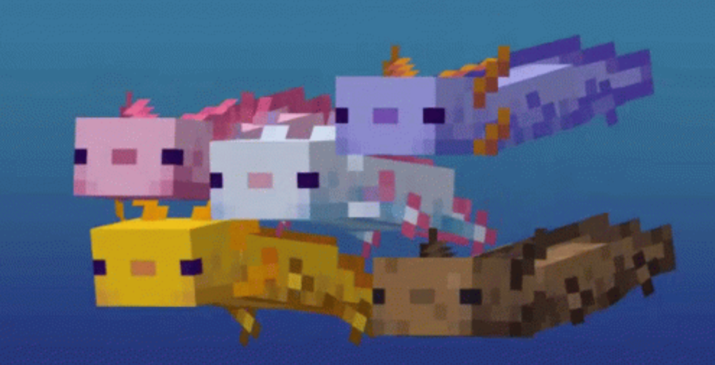 axolotl minecraft