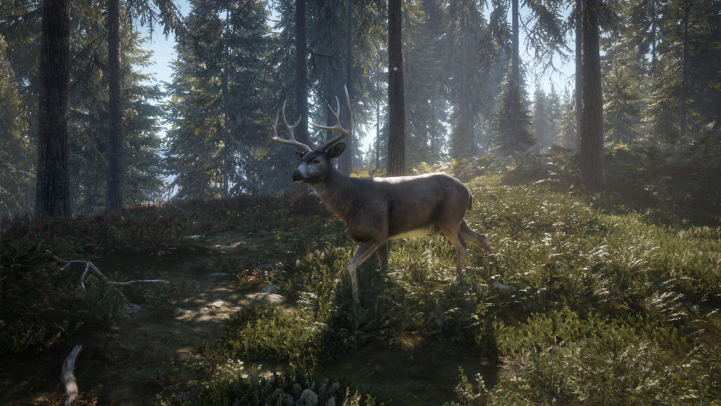 the hunter call of the wild xbox one update