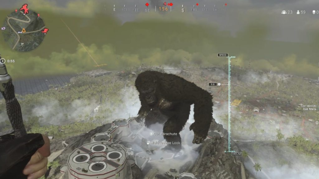 Warzone Godzilla and Kong