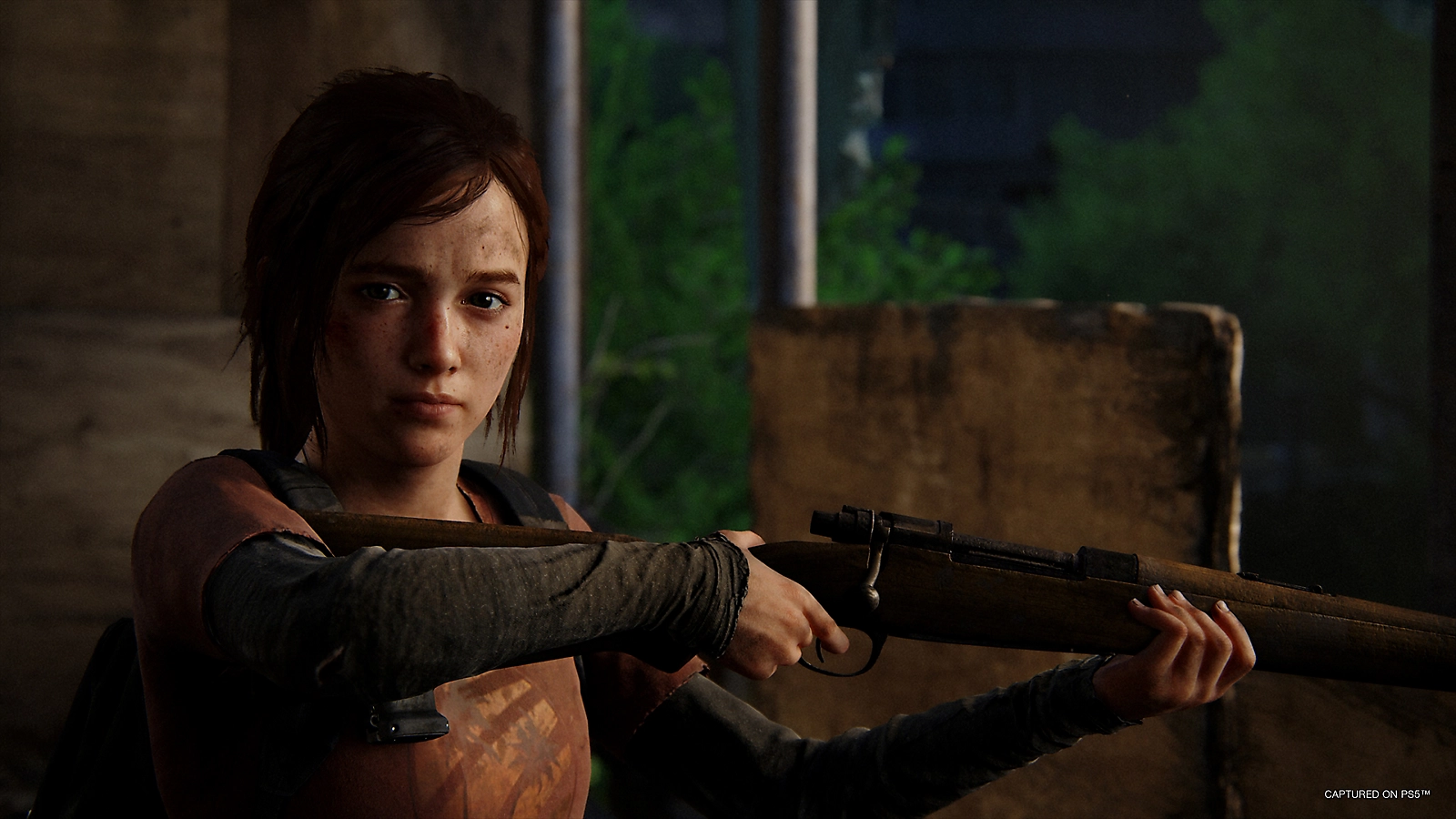 The WIP of The Last of Us online is being put to hold, for now
