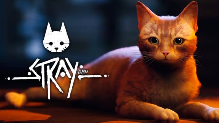 Stray' on PS5: What We Know About the Cyberpunk Cat Simulator