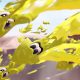Yellow Team Super Jumping in Splatoon 3