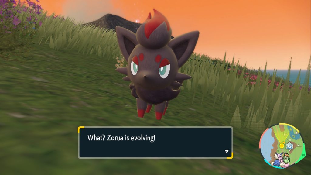 Pokemon Scarlet Violet How To Catch Zorua Zoroark Rare Pokemon Location Guide Gameranx