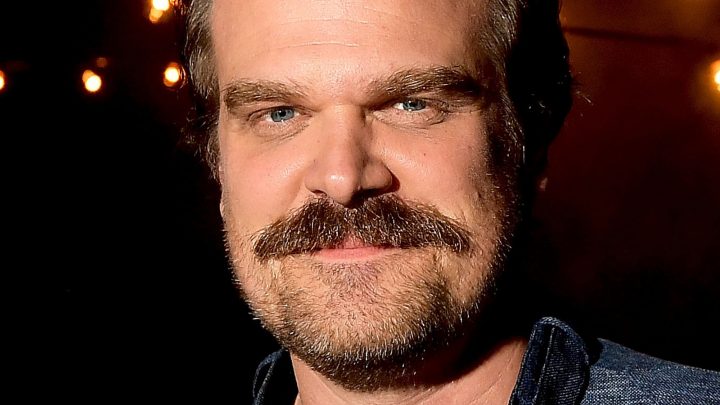David Harbour Archives - Gameranx