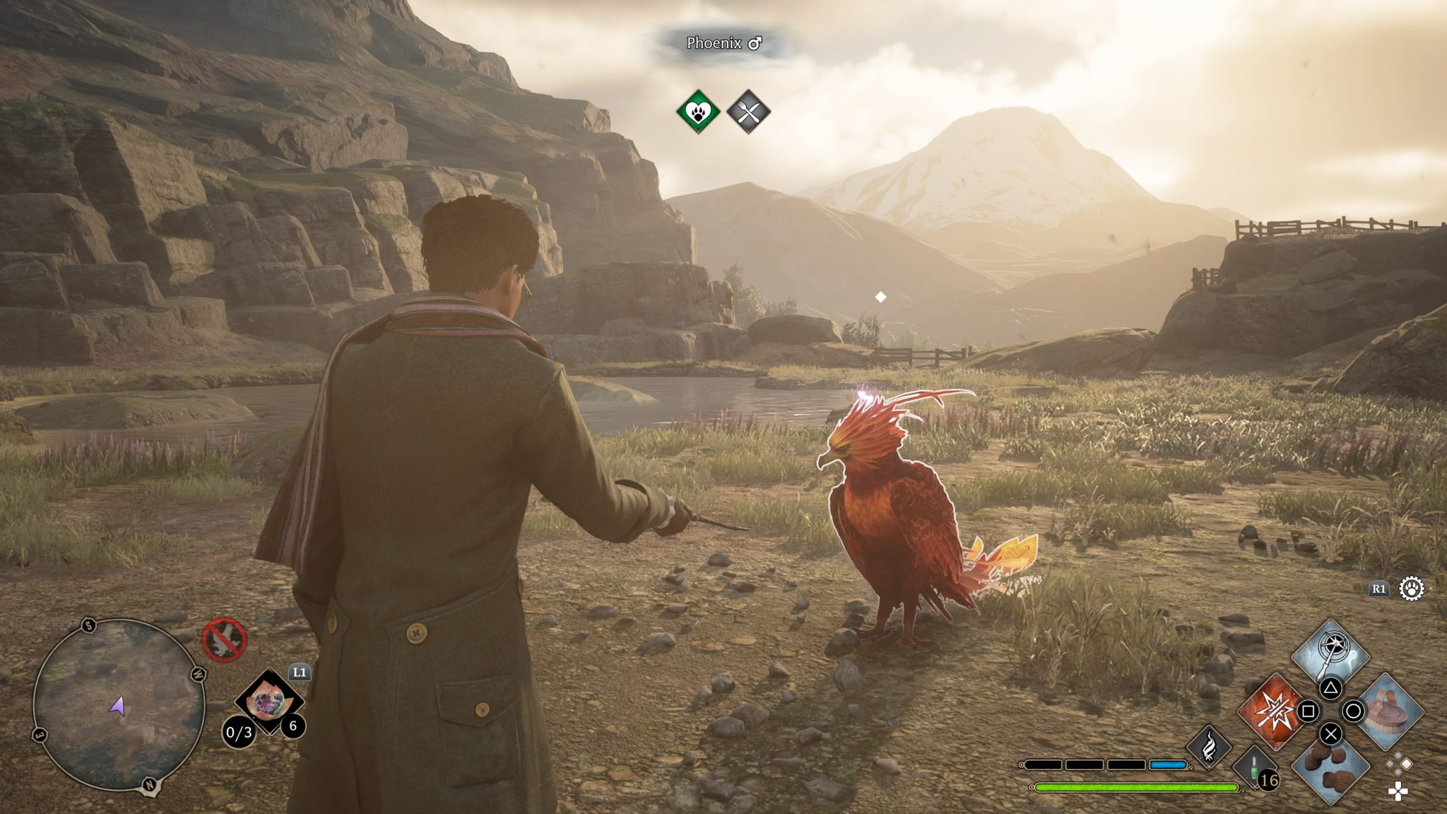 Hogwarts Legacy How To Catch A Phoenix Pet & Get More Phoenix Feathers