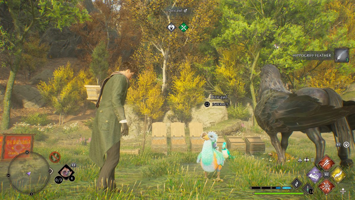 Hogwarts Legacy How To Catch All 13 Magical Beasts 100 Vivarium