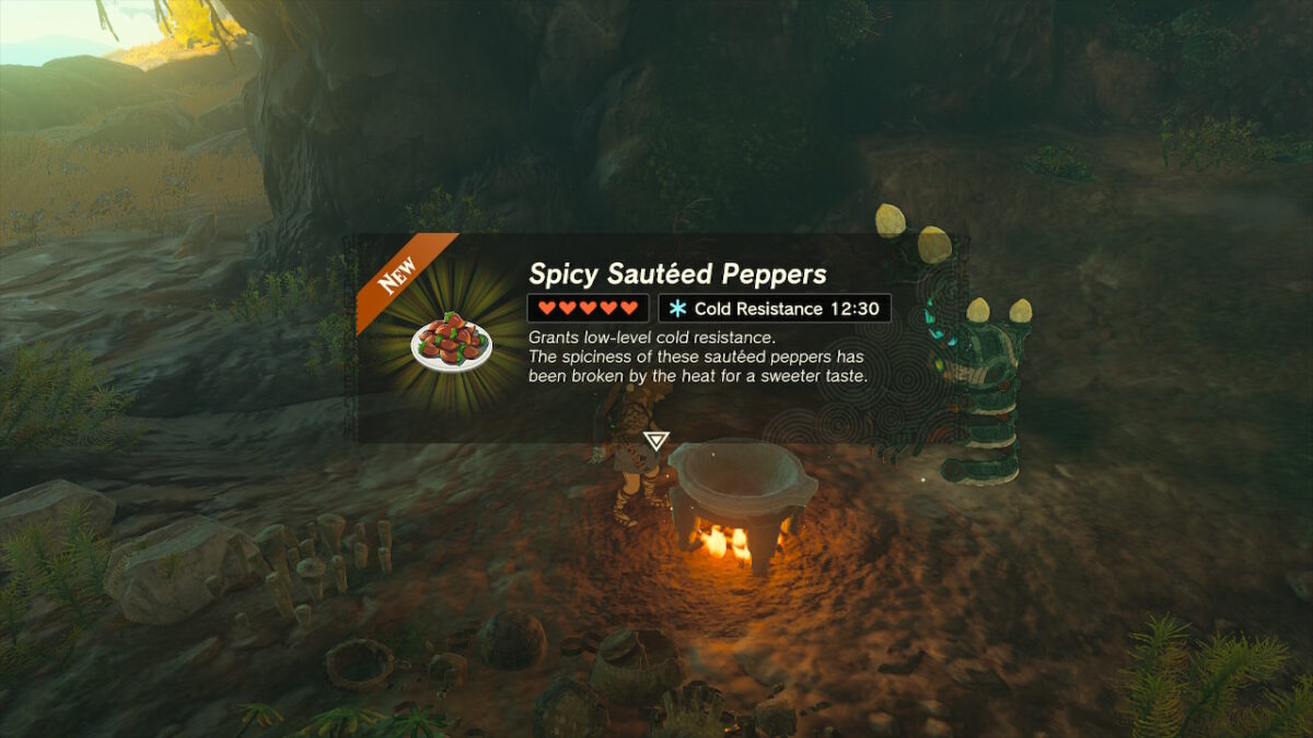 Legend of Zelda Tears of the Kingdom How To Survive Cold Weather Early Cold Protection