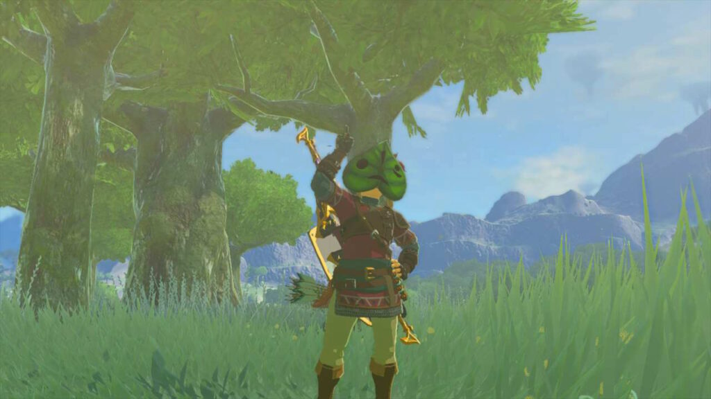 Link wears the Korok Mask in Tears of the Kingdom