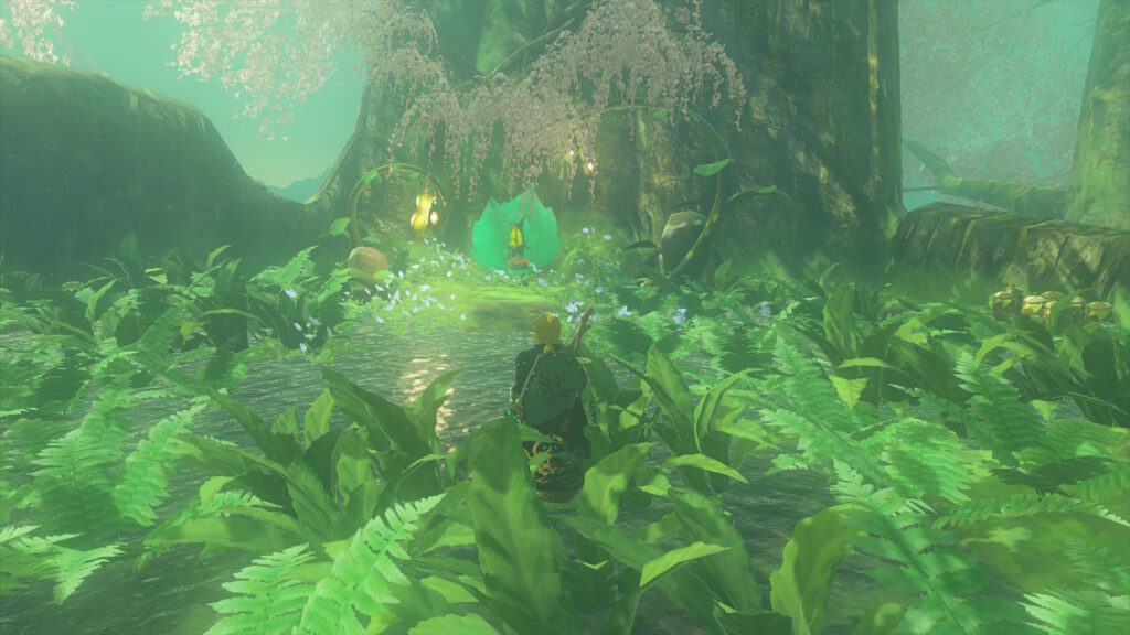 Legend Of Zelda: Tears Of The Kingdom - ¿Cuántas Semillas De Korok Hay?