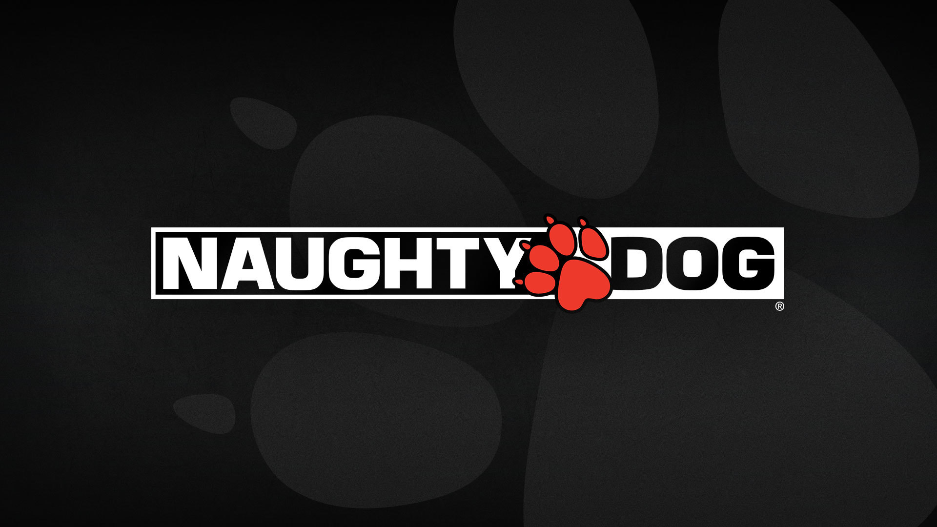 Naughty dog online new ip ps5