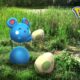 pokemon go Celebrate Hatch Day with Azurill schedule and bonuses