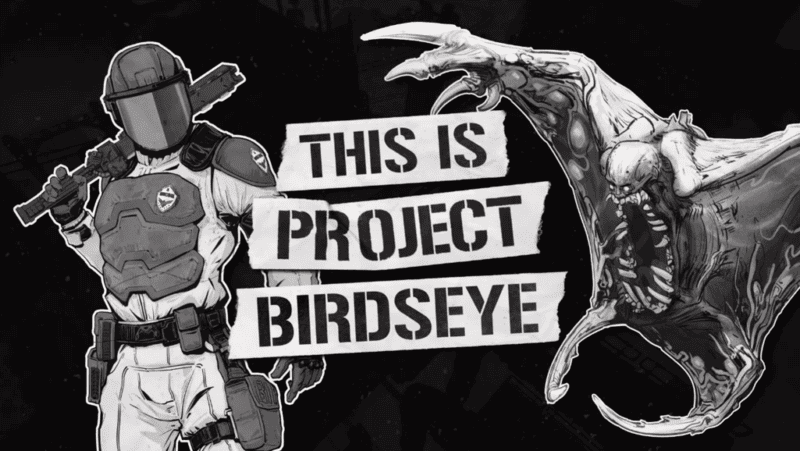 Project Birdseye