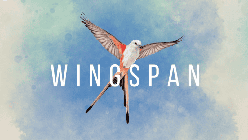 Wingspan