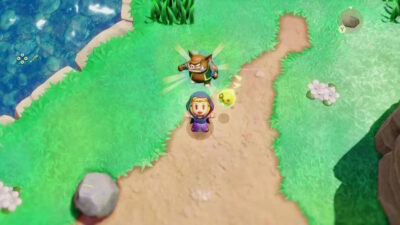 Legend of Zelda Echoes of Wisdom